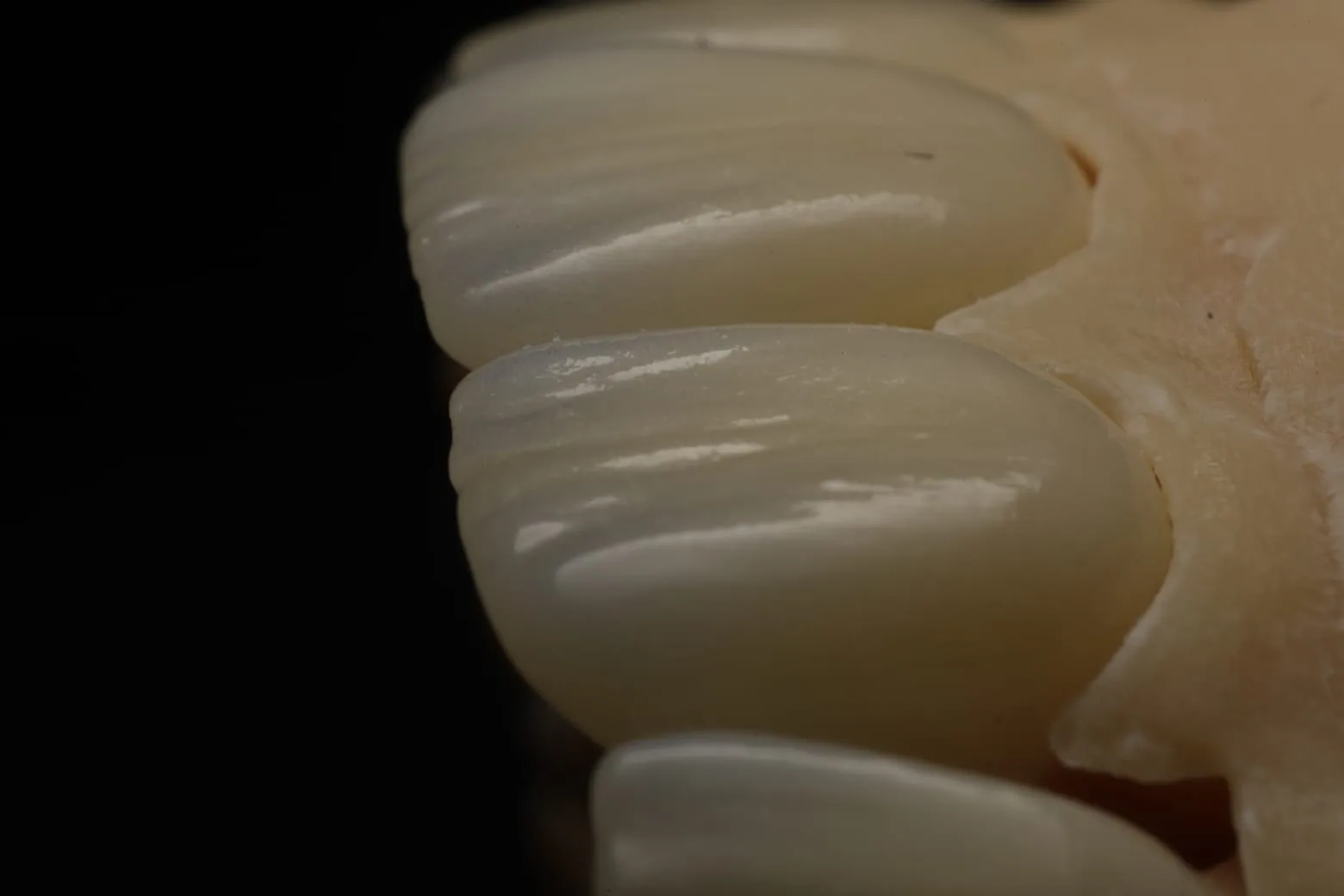 Iris Dental Lab 5